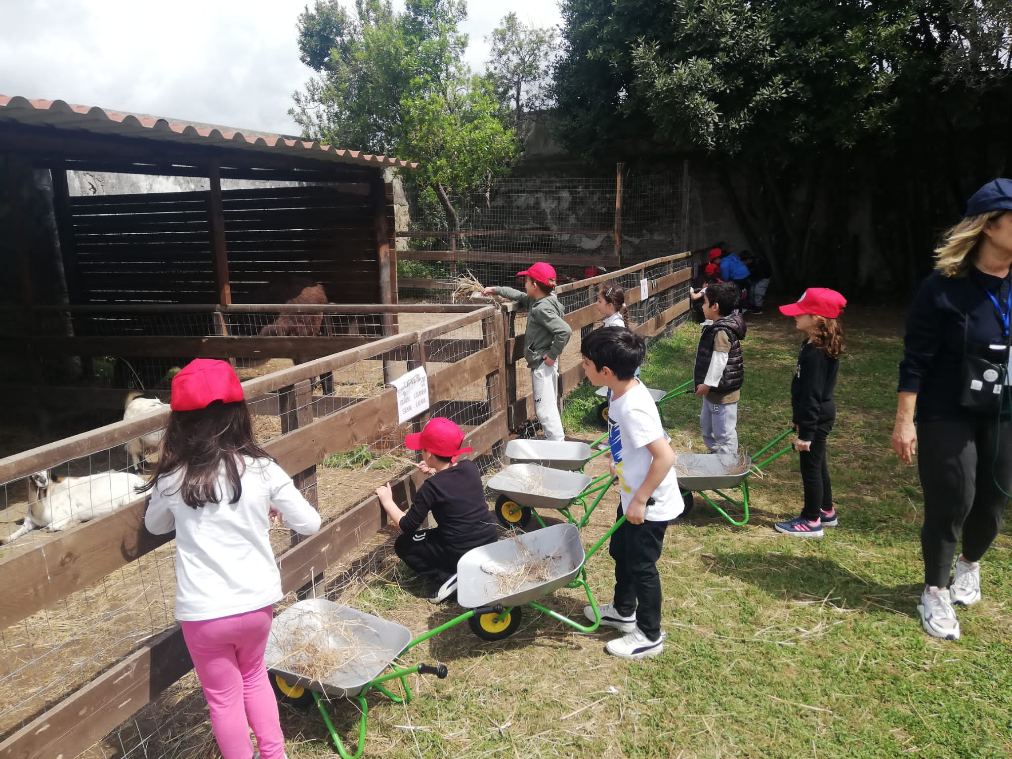 Uscita didattica presso la Fattoria "La Morella" di Battipaglia: classi prime della scuola primaria